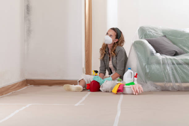 Reliable Mold Remediation contractor in Roseburg, OR by 24 Hour Mold Removal